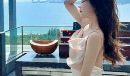 东京直播91,揭秘日本都市生活魅力