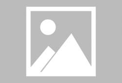 女相直播间91,揭秘网红魅力背后的秘密